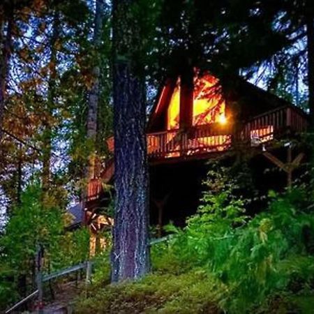 Villa Pinecrest A-Frame Family Fun Near Dodge Ridge Long Barn Esterno foto