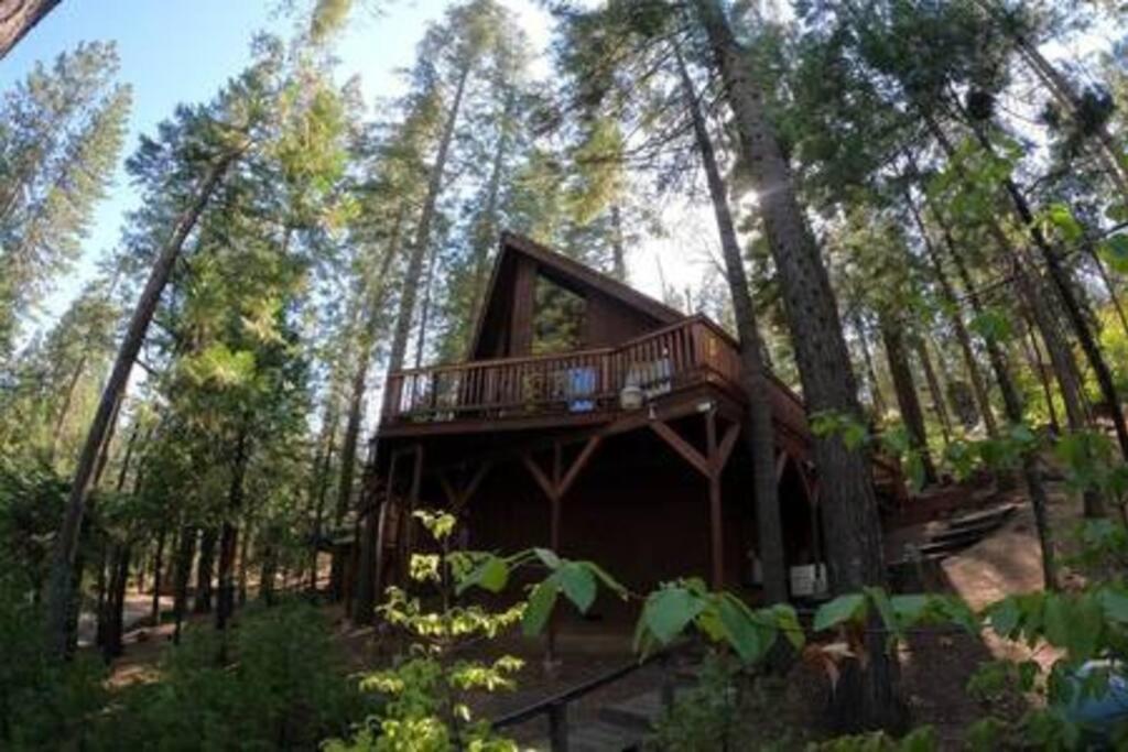 Villa Pinecrest A-Frame Family Fun Near Dodge Ridge Long Barn Esterno foto